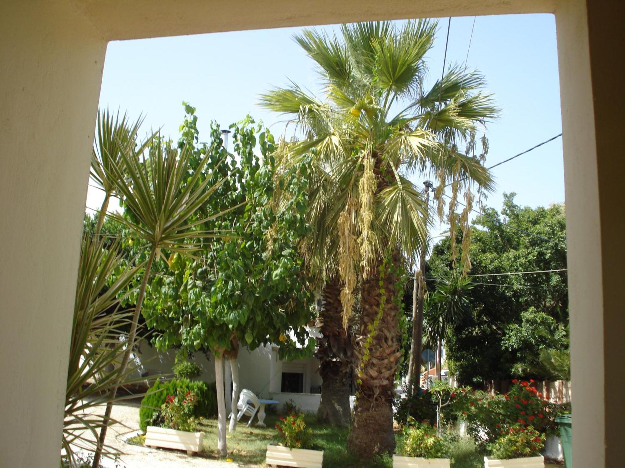 Ferienwohnung Zinovia Kato Daratso Exterior foto