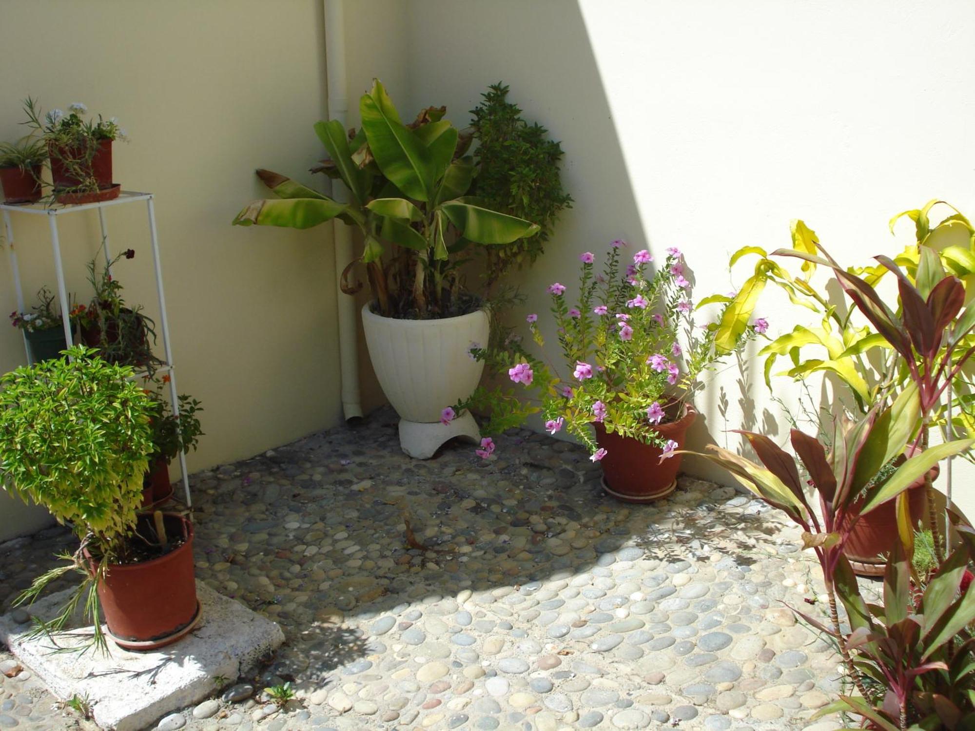 Ferienwohnung Zinovia Kato Daratso Exterior foto
